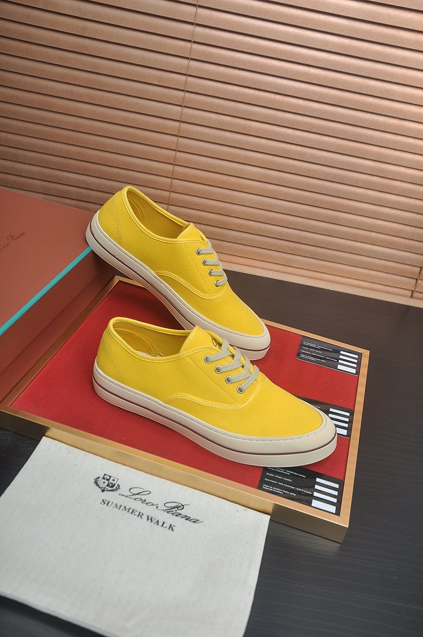 Loro Piana Low-Top Lace-Up Shoes — back